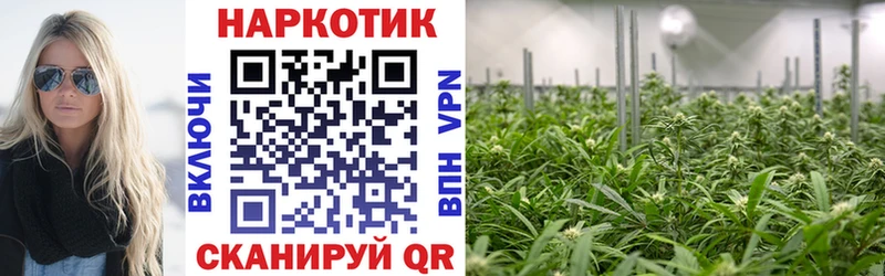 Купить наркоту Балашиха МАРИХУАНА Гашиш