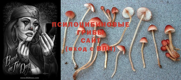 гидропоника Алексеевка