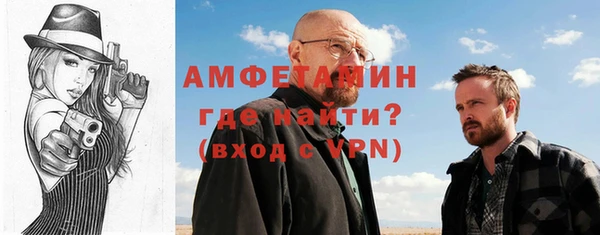 индика Алексин