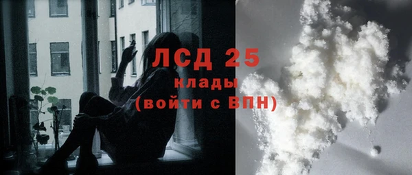 PSILOCYBIN Алзамай
