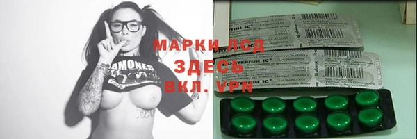 PSILOCYBIN Алзамай