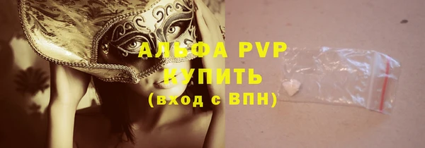 индика Алексин
