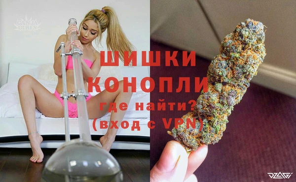 PSILOCYBIN Алзамай