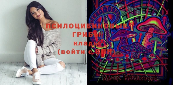 индика Алексин