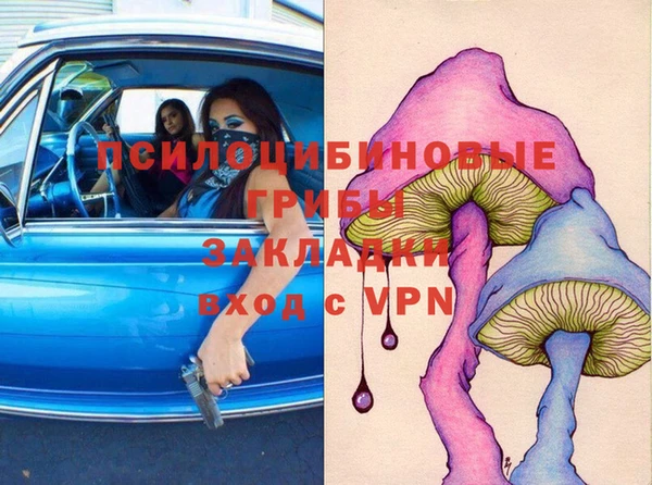 PSILOCYBIN Алзамай