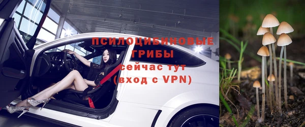 гидропоника Алексеевка