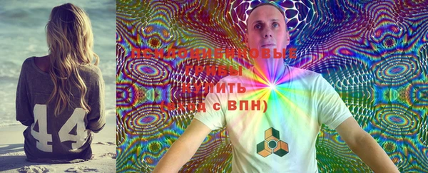 PSILOCYBIN Алзамай