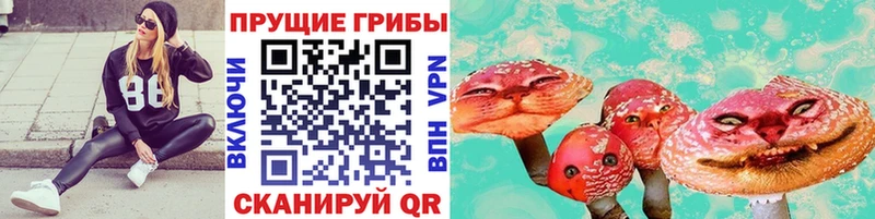 mega зеркало  Балашиха  Галлюциногенные грибы Magic Shrooms  продажа наркотиков 