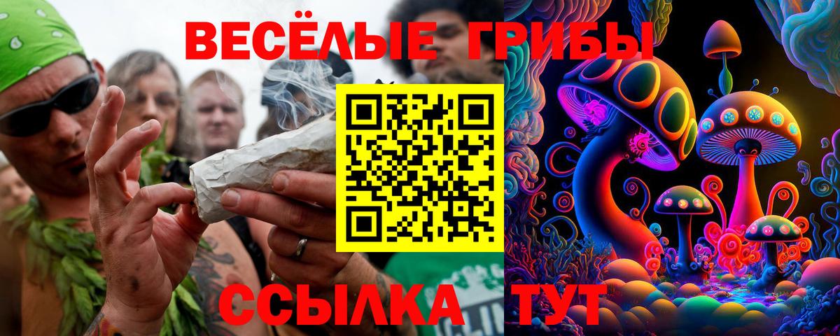 Псилоцибиновые грибы GOLDEN TEACHER  Вход с VPN  Балашиха 