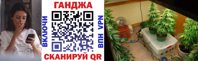 Каннабис SATIVA & INDICA  где найти наркотики  нарко площадка формула  Балашиха 